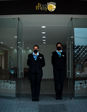 Servicio de vigilancia profesional