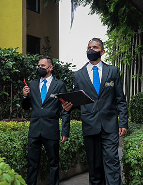 Servicio de vigilancia profesional