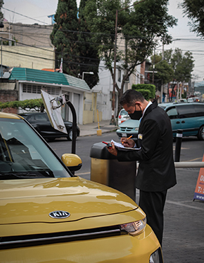 Servicio de vigilancia profesional