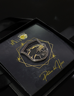 Servicio de vigilancia profesional