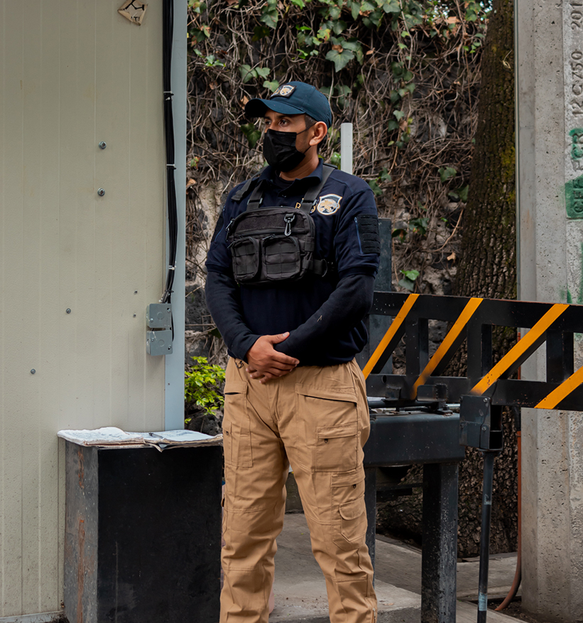 Seguridad corporativa Boox Bolaay